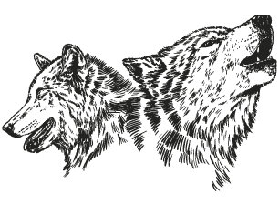 Inicio LOGO-ENTRADA 
